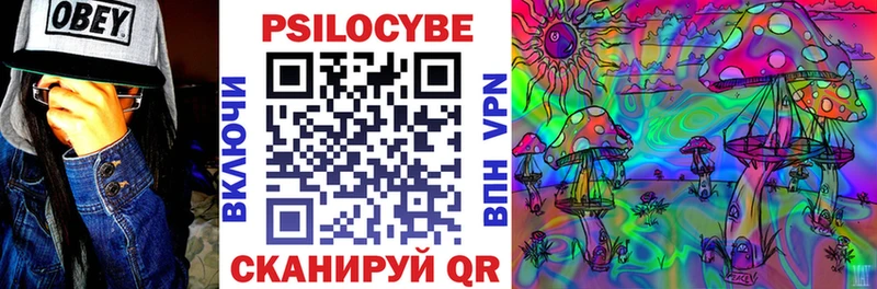 купить наркоту  ОМГ ОМГ как зайти  Псилоцибиновые грибы мухоморы  Кандалакша 